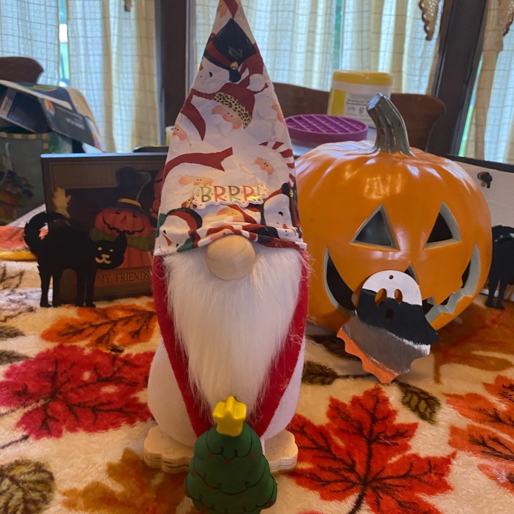 Gnome Christmas